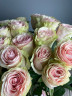 Букет из 25 роз Фрутетто