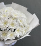 11 веток белоснежных хризантем