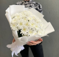 11 веток белоснежных хризантем с доставкой в Краснодаре