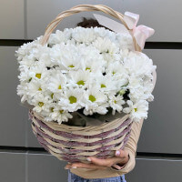 Корзинка хризантем с доставкой в Краснодаре