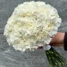 Свадебный букет из белоснежных диантусов
