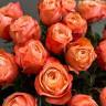 Букет 25 садовых роз