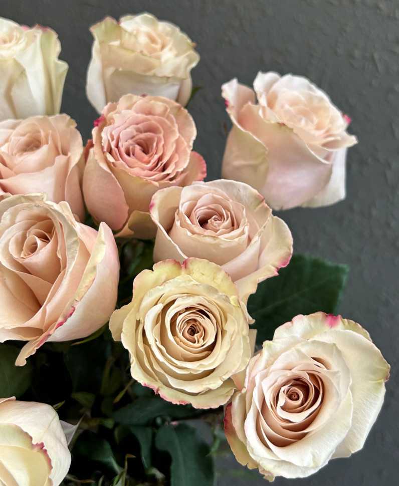 Букет из 25 роз Эквадор под ленту