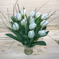 Белоснежные тюльпаны с доставкой в Краснодаре