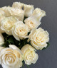 Букет из 25 белых роз Эквадор