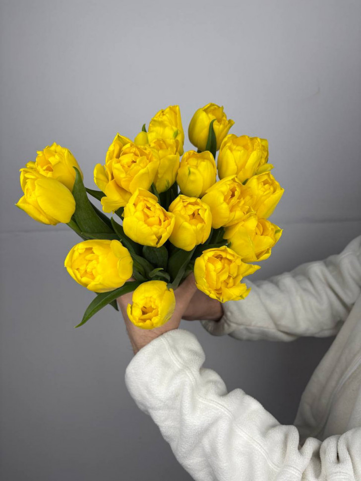 Тюльпан пионовидный (17 шт) 