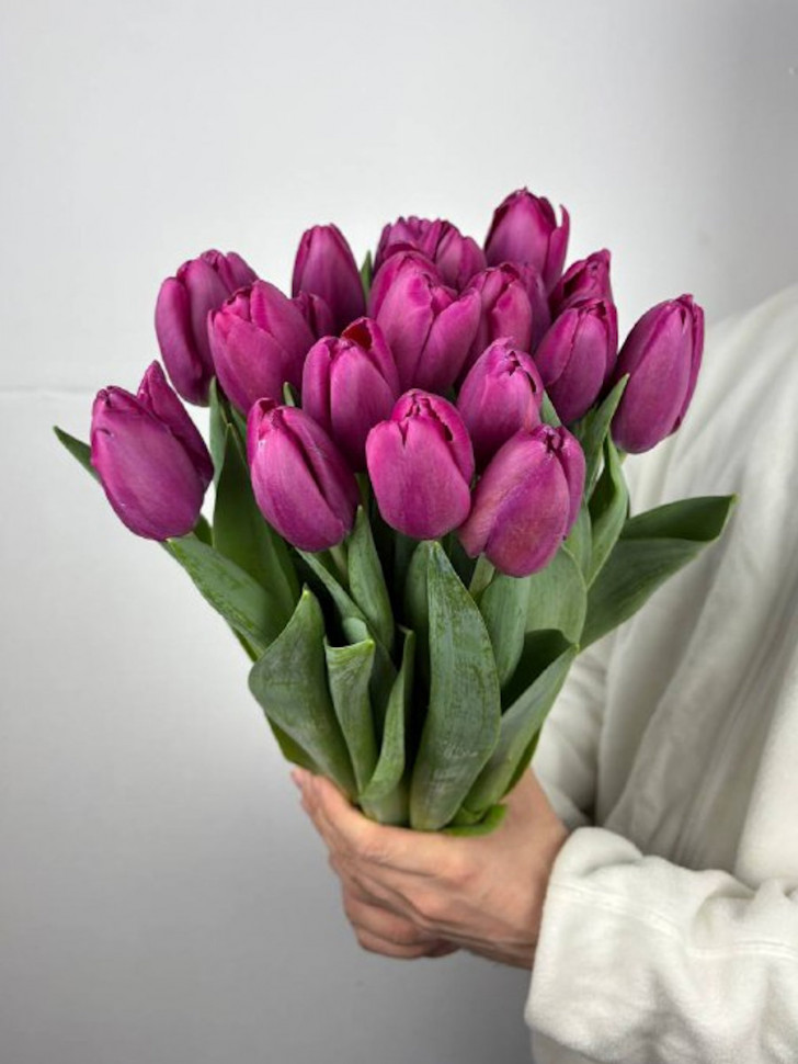21 фиолетовый тюльпан
