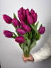 21 фиолетовый тюльпан