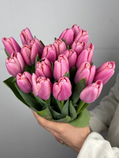 Розовые тюльпаны (21 шт) 