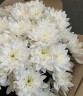 Букет 15 веток кустовой хризантемы