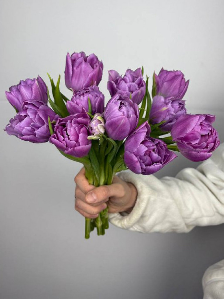 Тюльпаны пионовидные (11 шт)