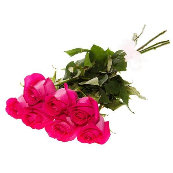 7 роз (50 см) с доставкой в Краснодаре