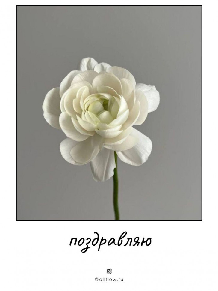 Открытка поздравляю
