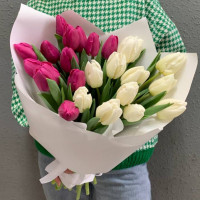25 обалденных тюльпанов с доставкой в Краснодаре