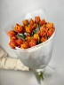 25 огненных тюльпанов
