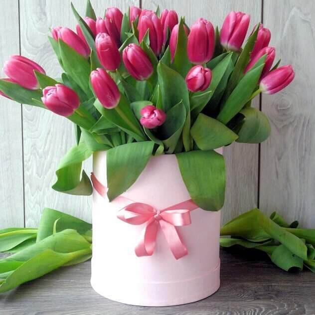 Тюльпаны в приятной коробочке с доставкой в Краснодаре