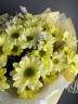 5 солнечных хризантем