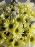 5 солнечных хризантем