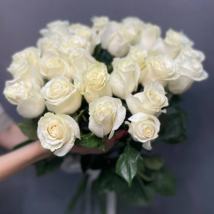 25 белых роз Эквадор (80 см) с доставкой в Краснодаре
